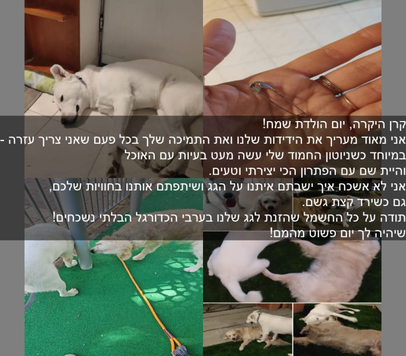 כרטיס ברכה לדוגמא